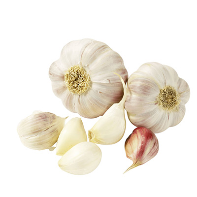 Knoblauch-Kopie